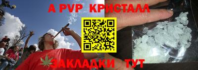прущие грибы Тверь
