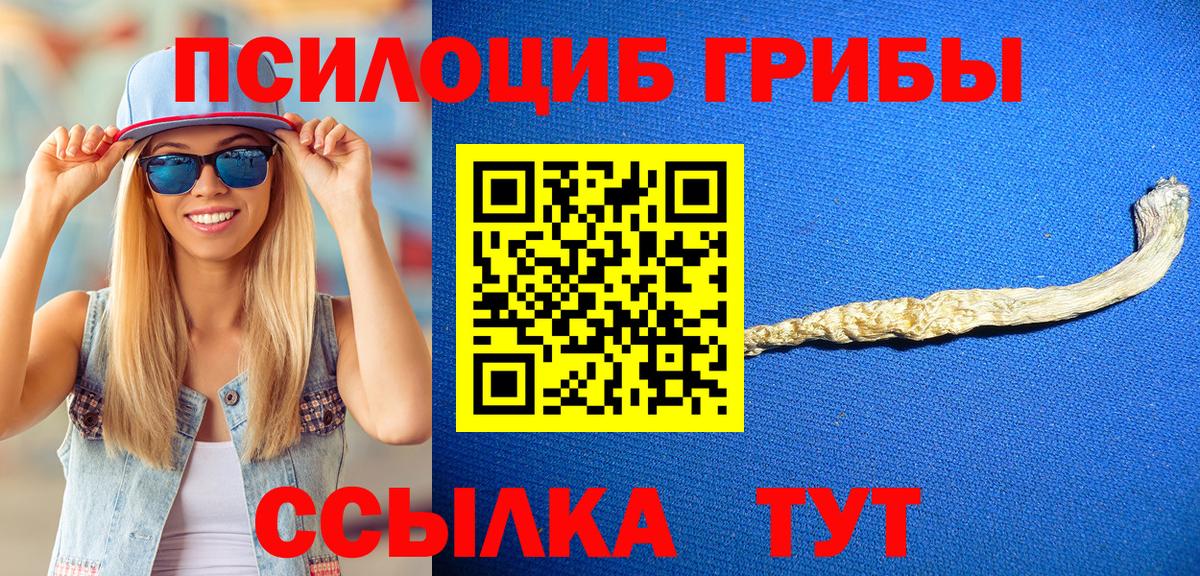 Острогожск  Галлюциногенные грибы мицелий  Вход с VPN 