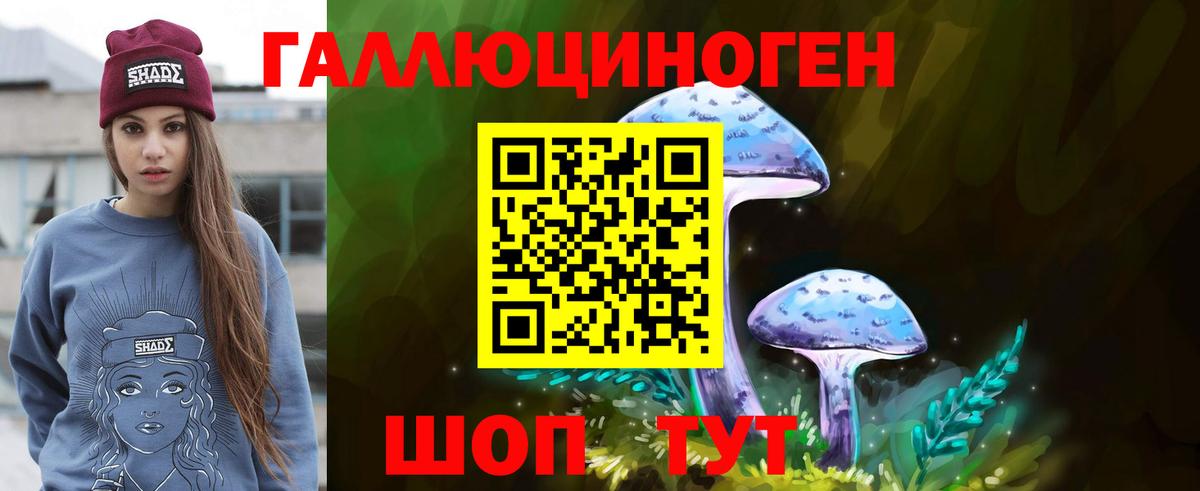 Псилоцибиновые грибы GOLDEN TEACHER Острогожск